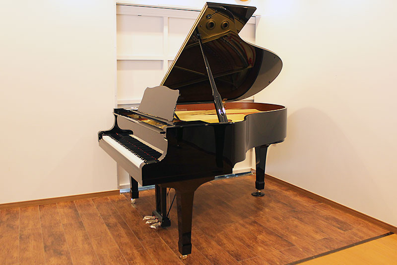 YAMAHA G3E