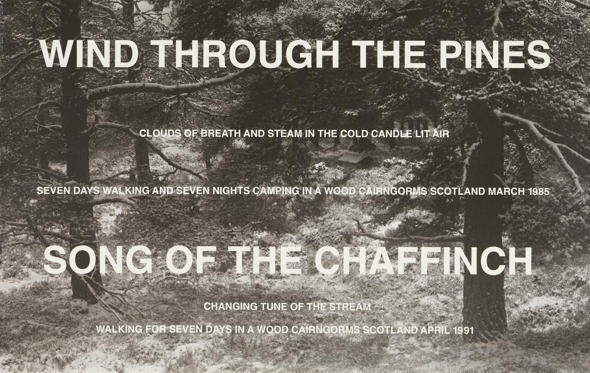 Wind through the Pines', Hamish Fulton, 1985, 1991 | Tate