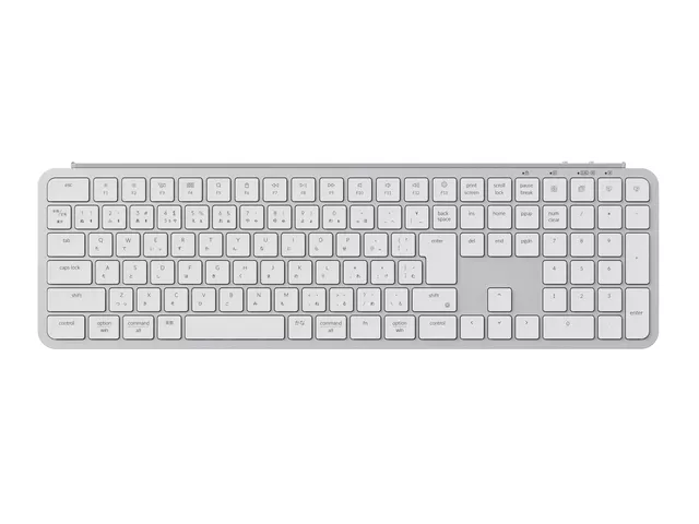 01739517101xthumb.webp