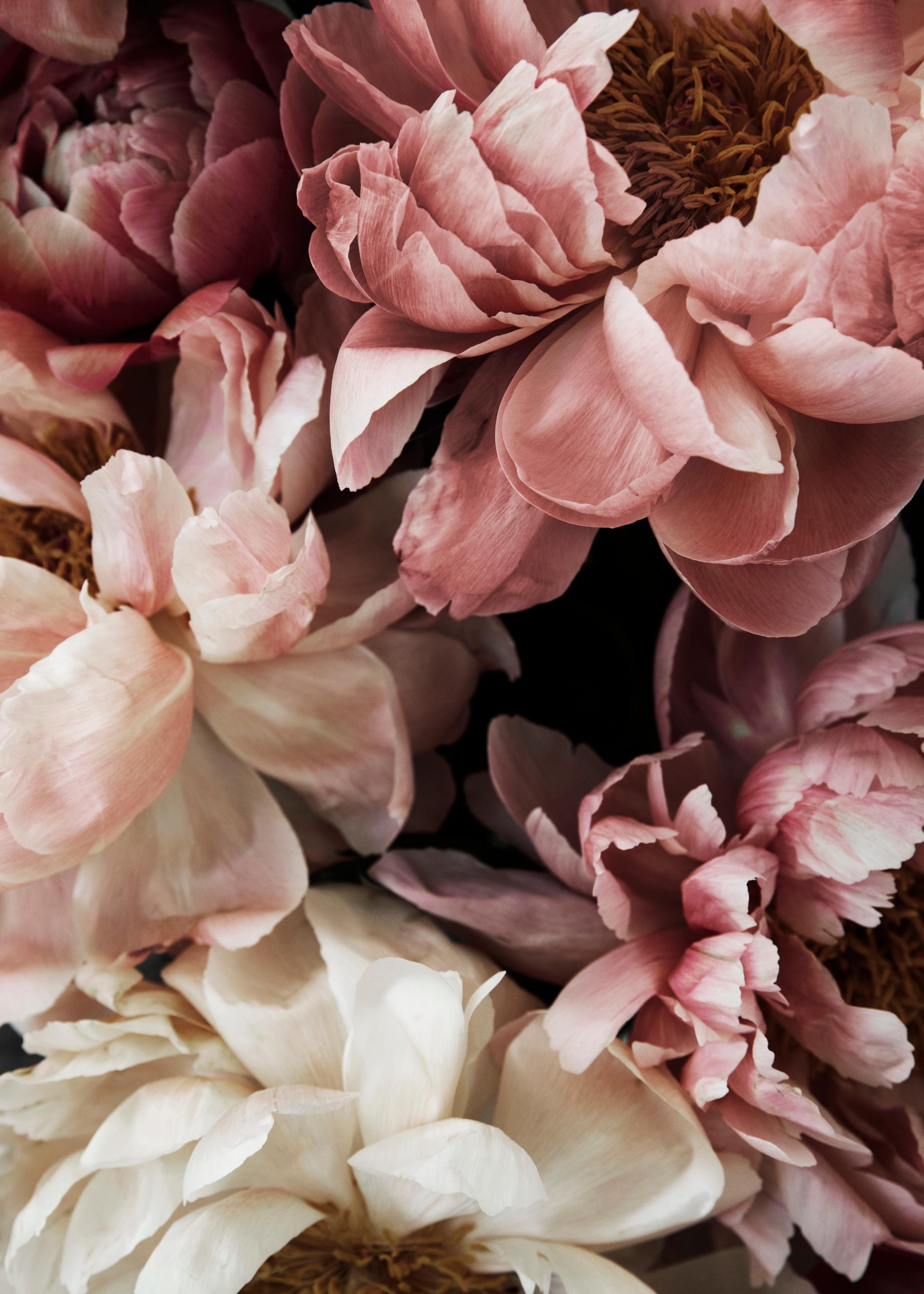 Flower Wall Print – Romantic Floral Poster | Desenio