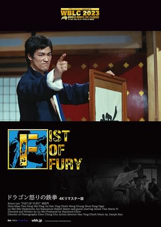 フィスト・オブ・フューリー 復活!ドラゴン怒りの鉄拳 : 作品情報