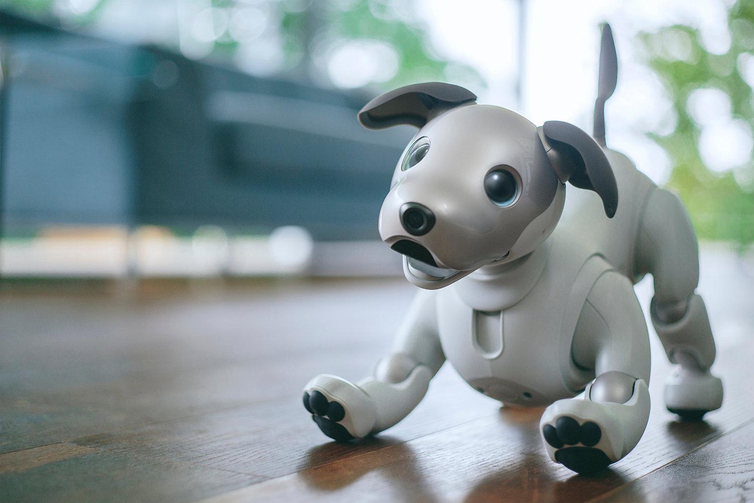 12年ぶりに帰ってきたワン！ かわいさ＋賢さアップの犬型ロボット｢aibo