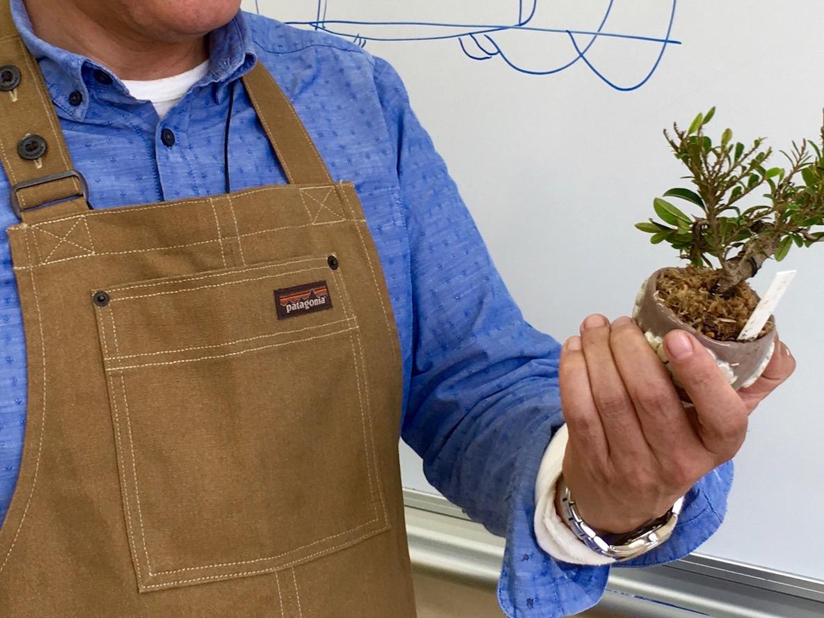 IMG_0929-1.jpg?w=1200