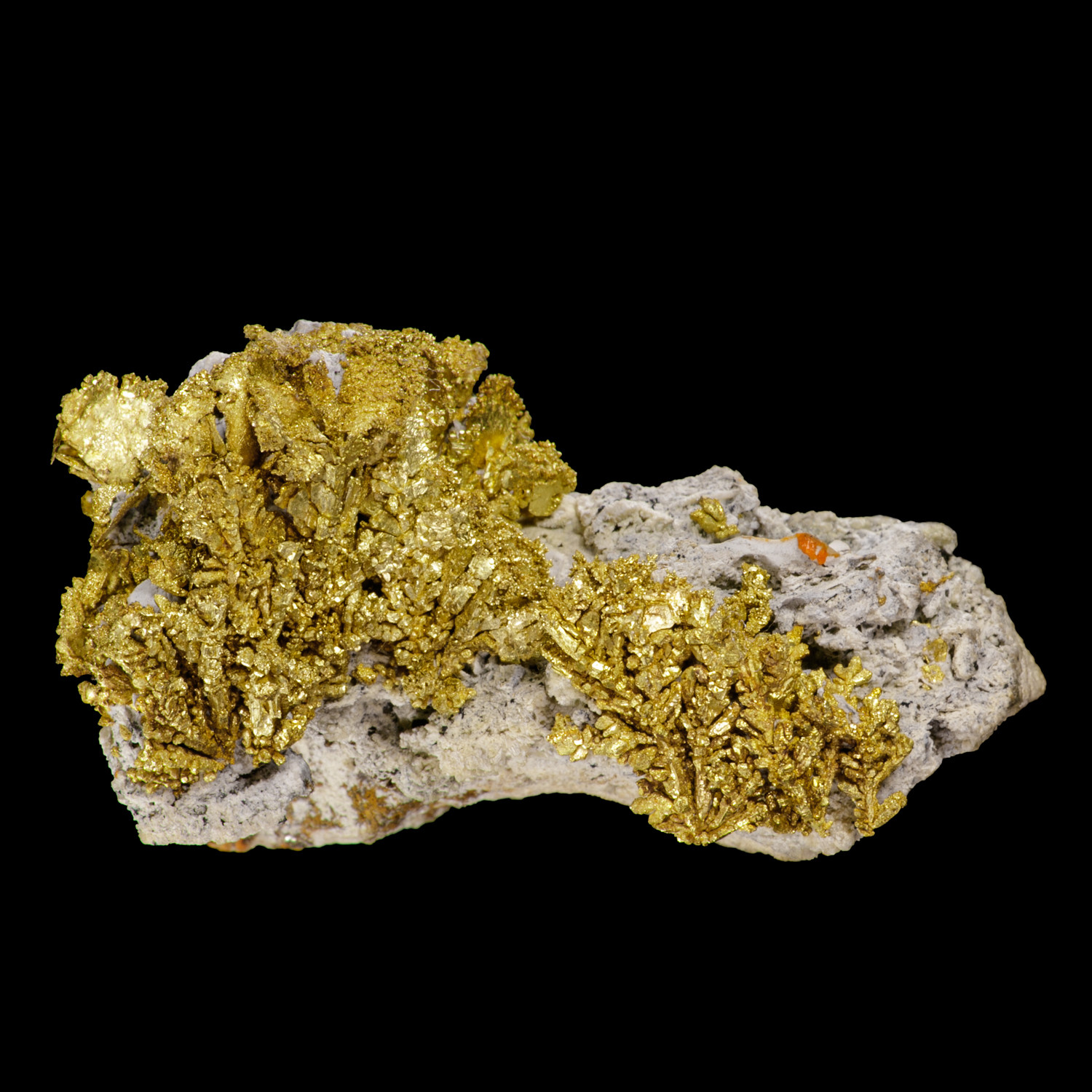 historic Gold on matrix | Dixie Mine, Lamartine Mining Dist