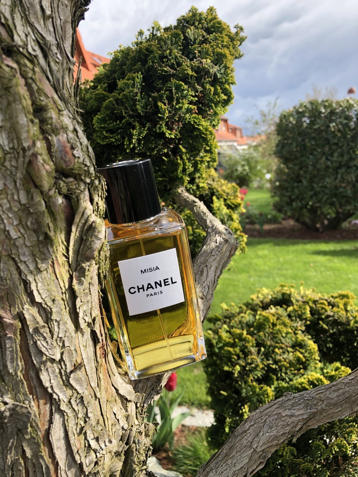 Misia by Chanel (Eau de Parfum) » Reviews & Perfume Facts