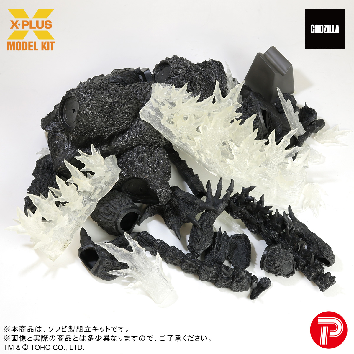 ワンダーフェスティバル2025夏 参加情報