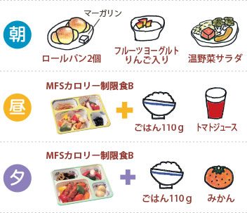 MFSカロリー制限食B お試しセット(6食) [31006] - 4,760円