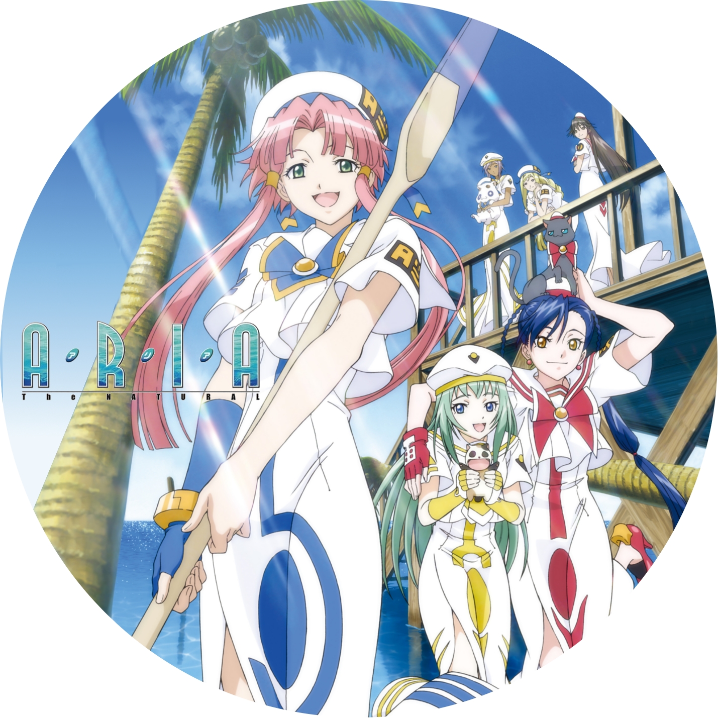 ARIA The ORIGINATION ・ The NATURAL ” の DVDラベルです