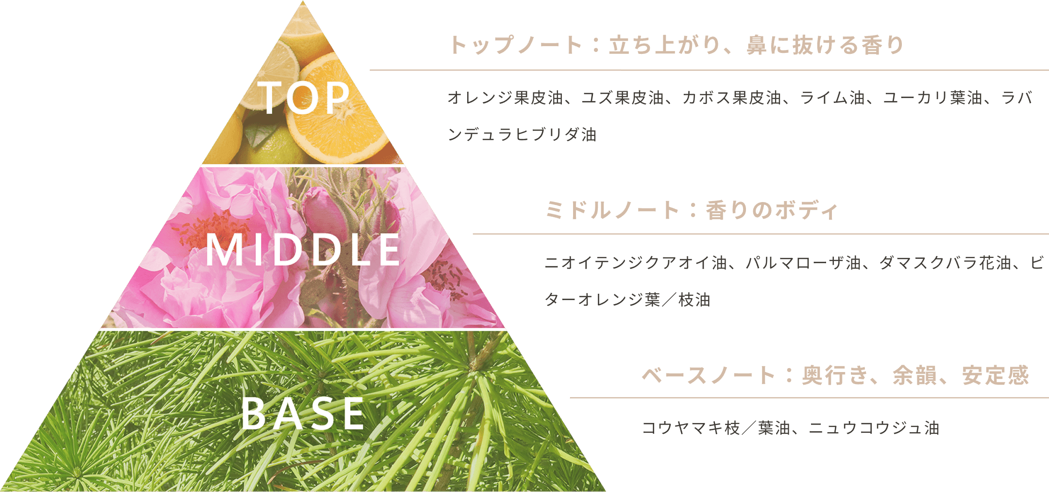 メリフィーク F ローションセラム - 【公式】MELIFIQUE | メリフィーク