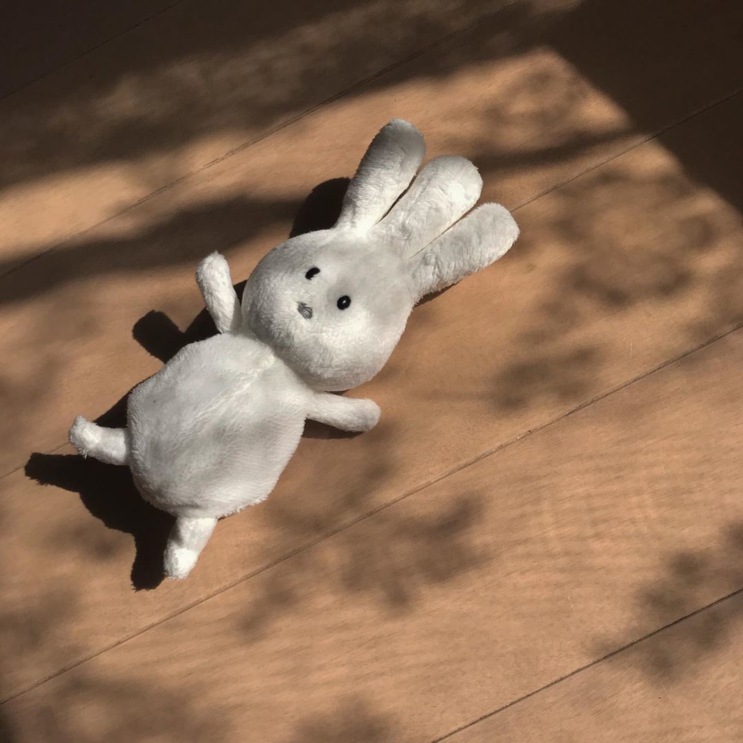 絵本の世界からこんにちは。「バムとケロ」のキャラクターたちが可愛