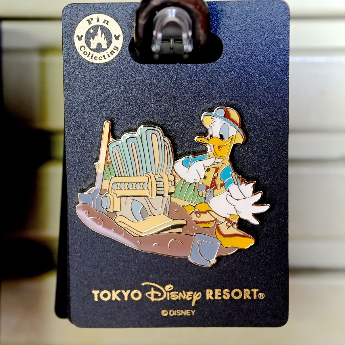 ロストリバーデルタデザイン！東京ディズニーシー「ドナルドダック