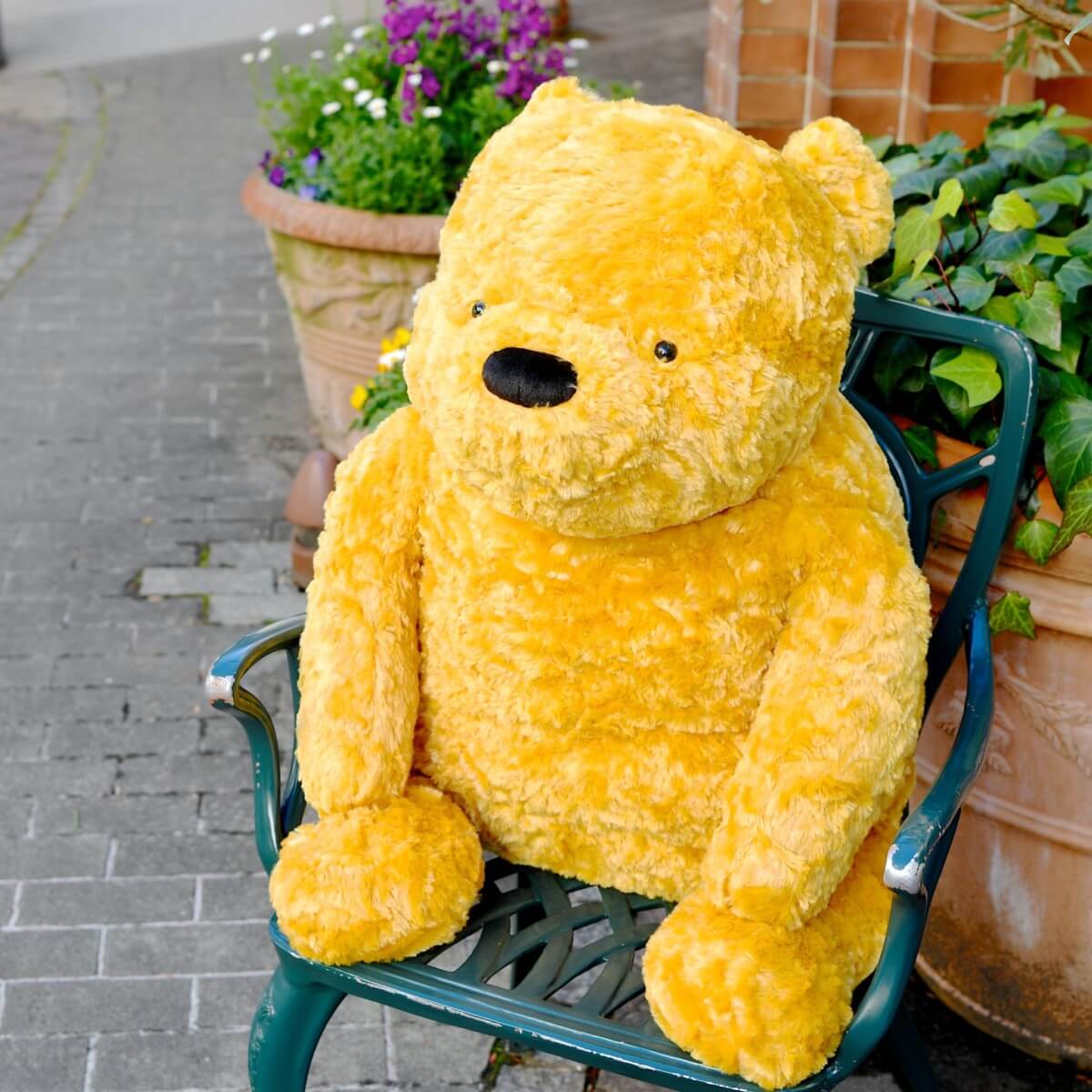 大きくて本物みたいなクラシックプー！ベルメゾン 抱きしめたくなる