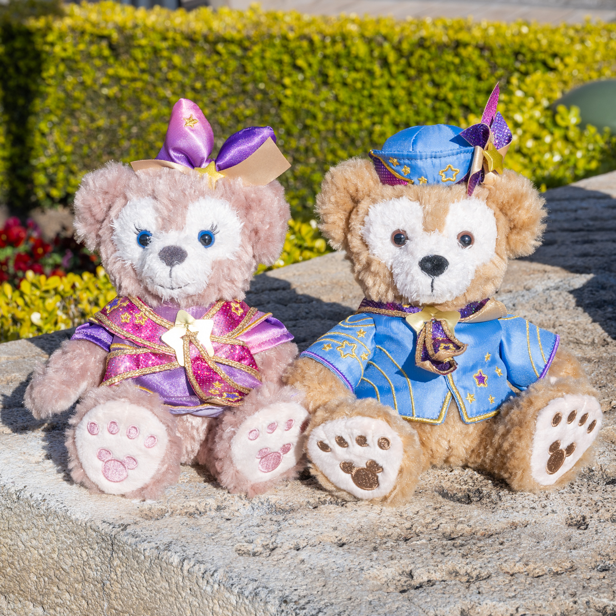 レッツ・セレブレイト・ウィズ・カラー」コスチューム！東京ディズニー