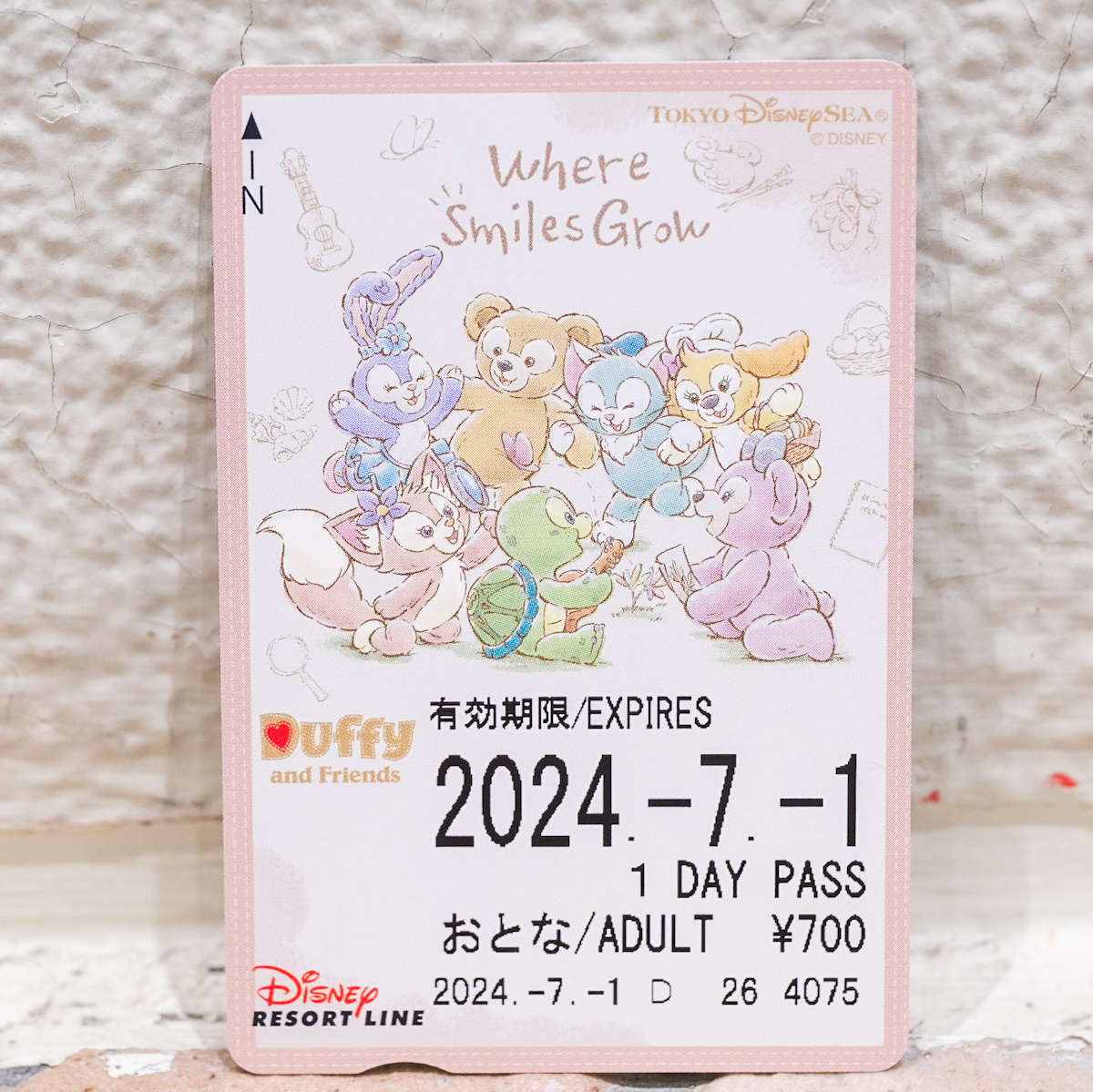 笑顔あふれるダッフィー＆フレンズ！ディズニーリゾートライン“ウェア
