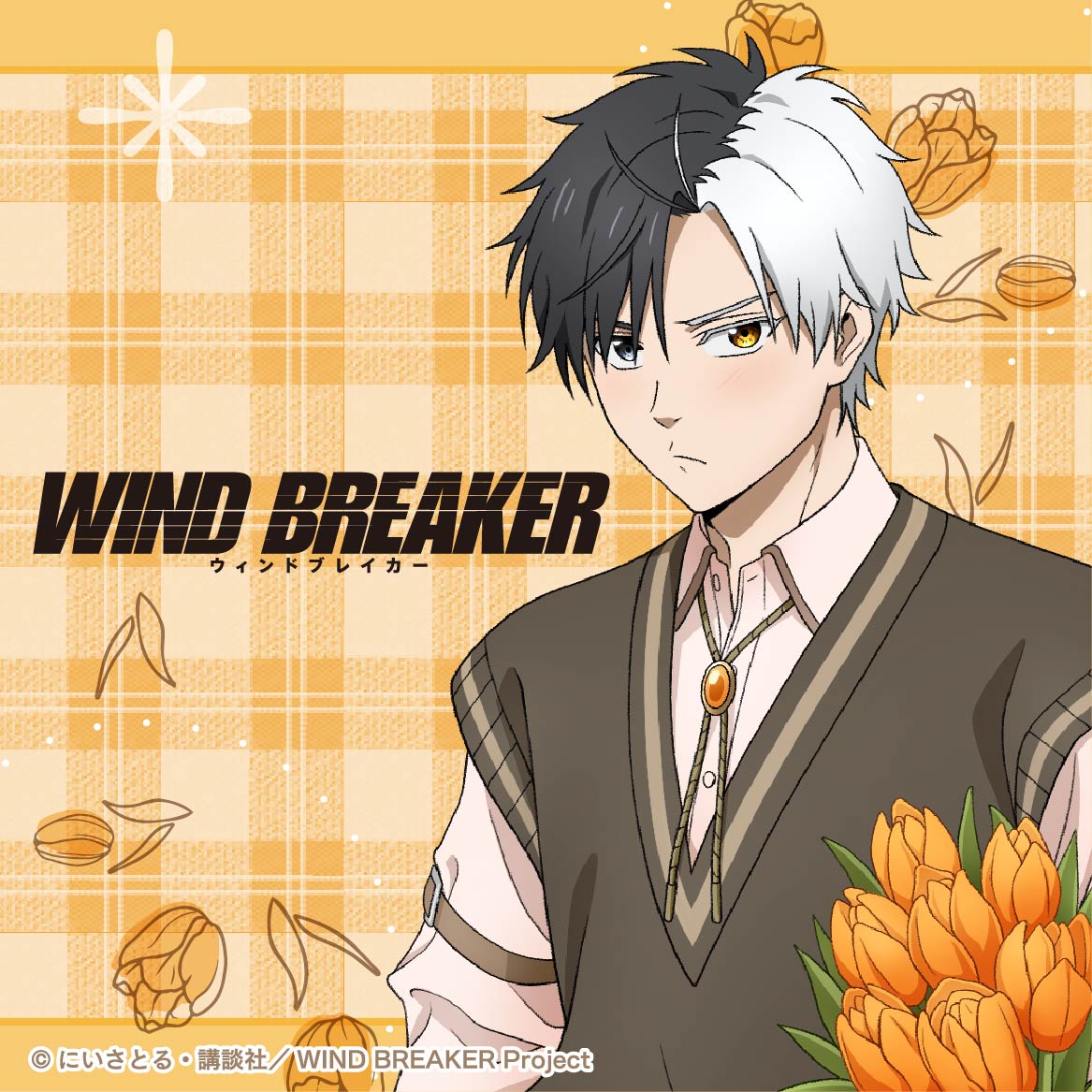WIND BREAKER | グッドなグッズのマーケット ggMART / ジージーマート