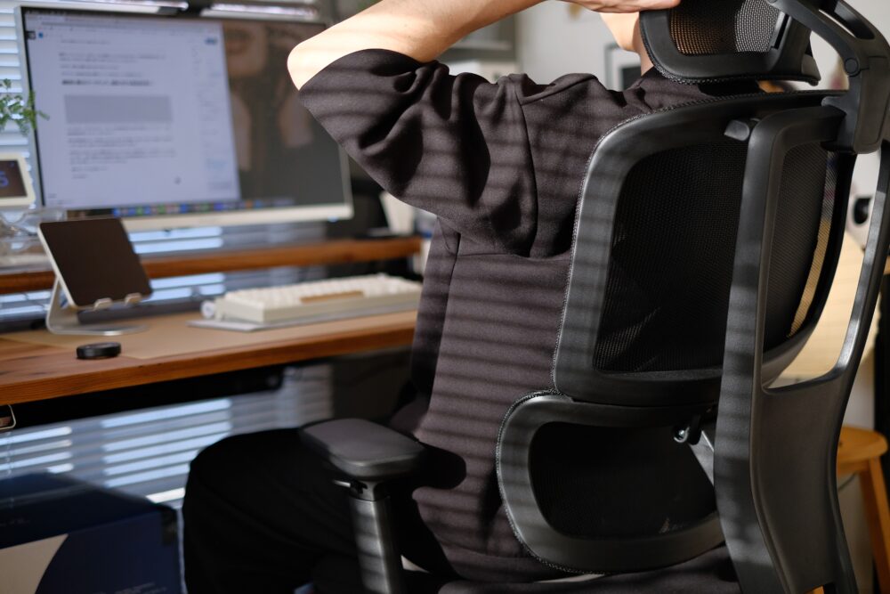 ERGOFINITE ”THE ERGORISM PRO” レビュー｜30日のお試し期間が魅力的