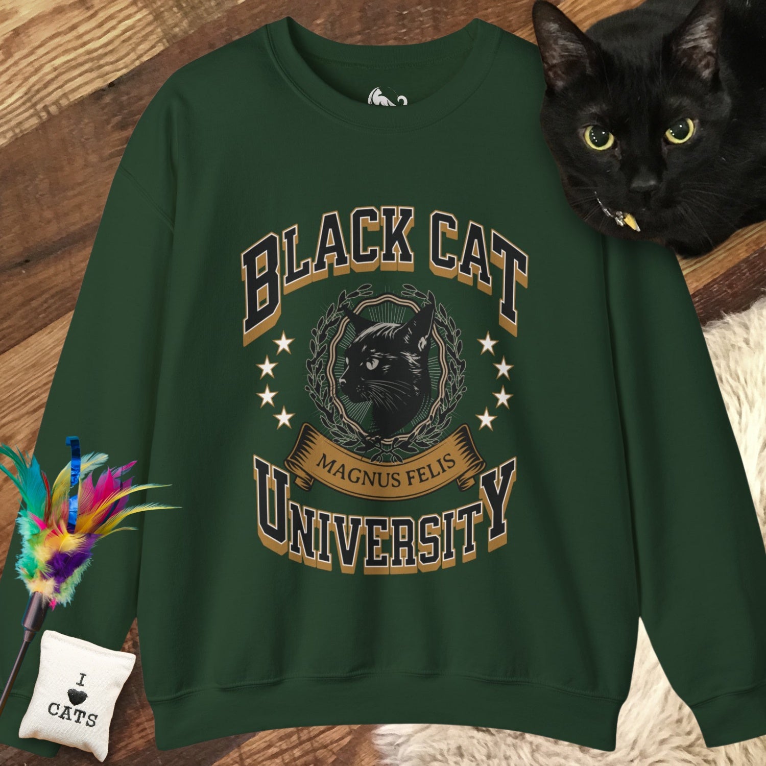 Midnight Mouser - Black Cat University Sweatshirt