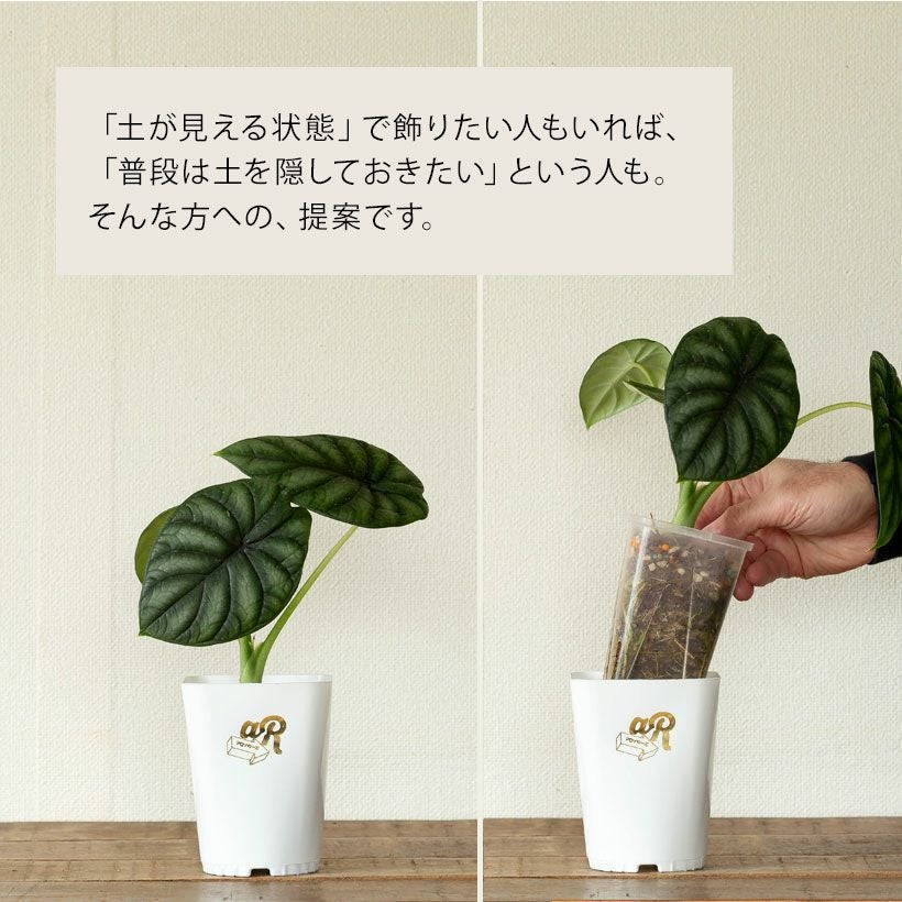 ネオプット（ネガミエルスリット鉢カバー）浅岡園芸・花森家開発