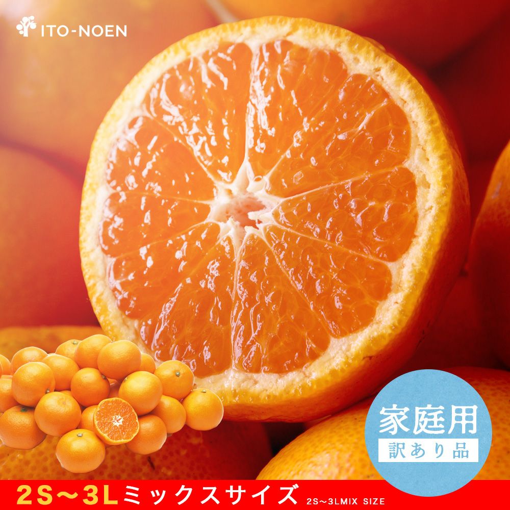 000000000156-01-l.jpg?t=