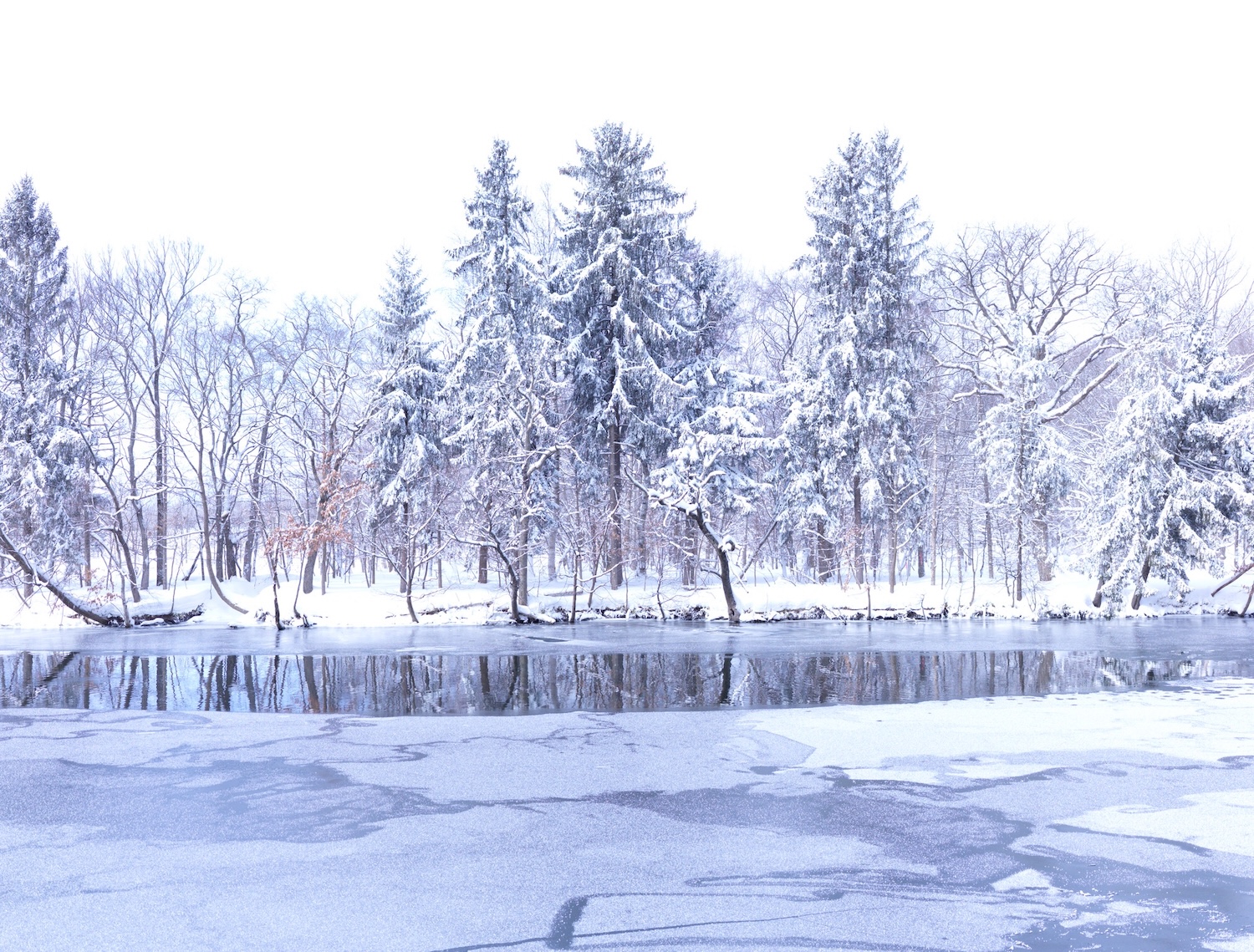 スタイリスト・山本マナ、オンラインギャラリーで表現する、静かな記憶