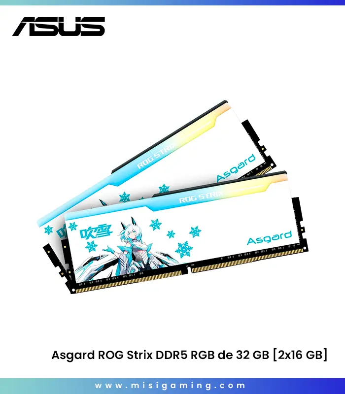 Memoria RAM DDR5 Asgard ROG Strix DDR5 RGB de 32 GB (16 GBx2 CL34