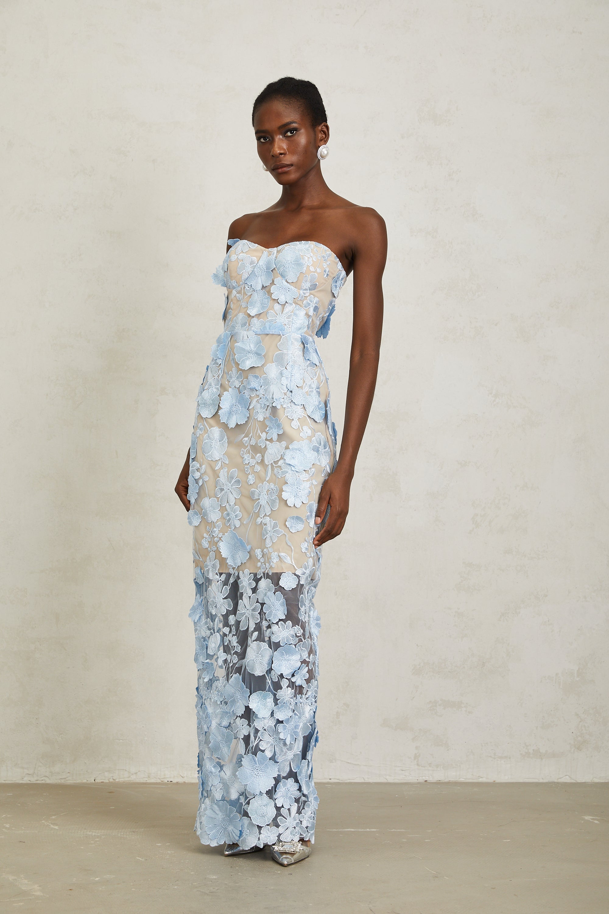 Brigitte Blue Floral Appliqué Corset Maxi Dress