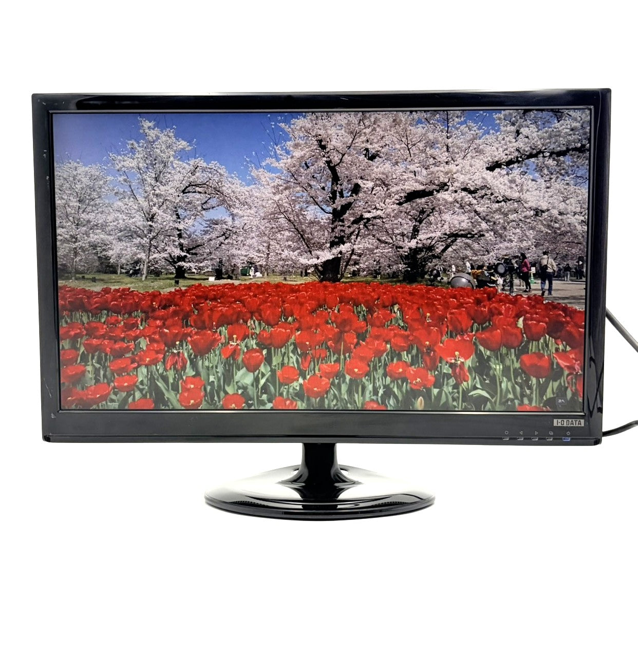 中古モニター】23.8インチ メーカー I-ODATA 型番 LCD-MF231XBR 入力