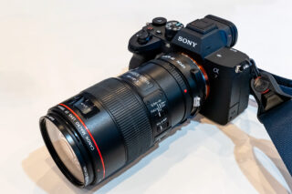 EF100/F2.8L MACRO を α7 IV で試す | b's mono-log