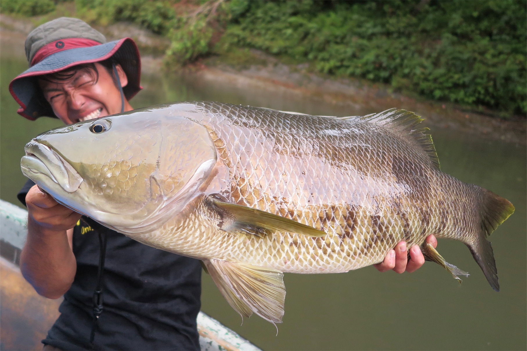 Dear Monster Valitudo MV-65 - Monster Kiss モンスターキス