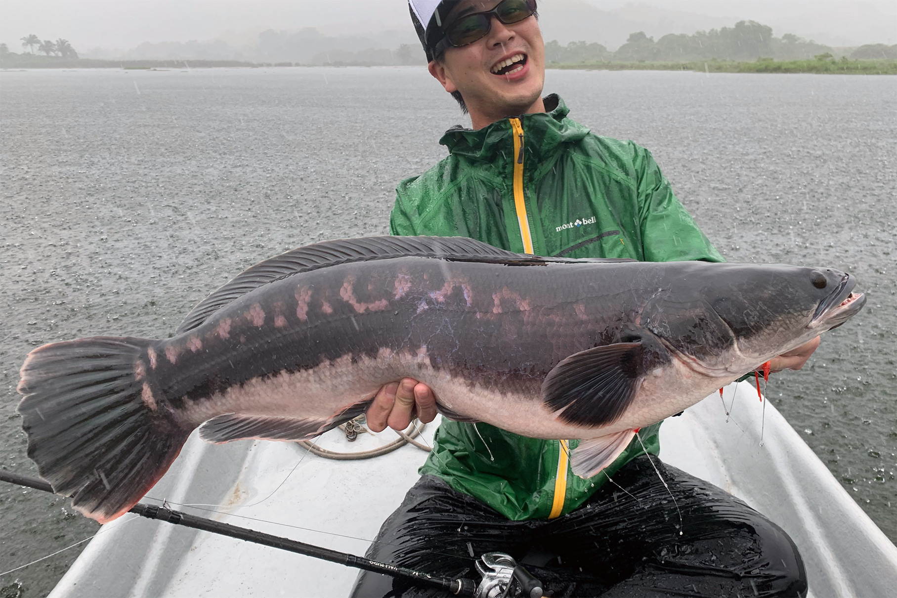 Dear Monster Valitudo MV-65 - Monster Kiss モンスターキス