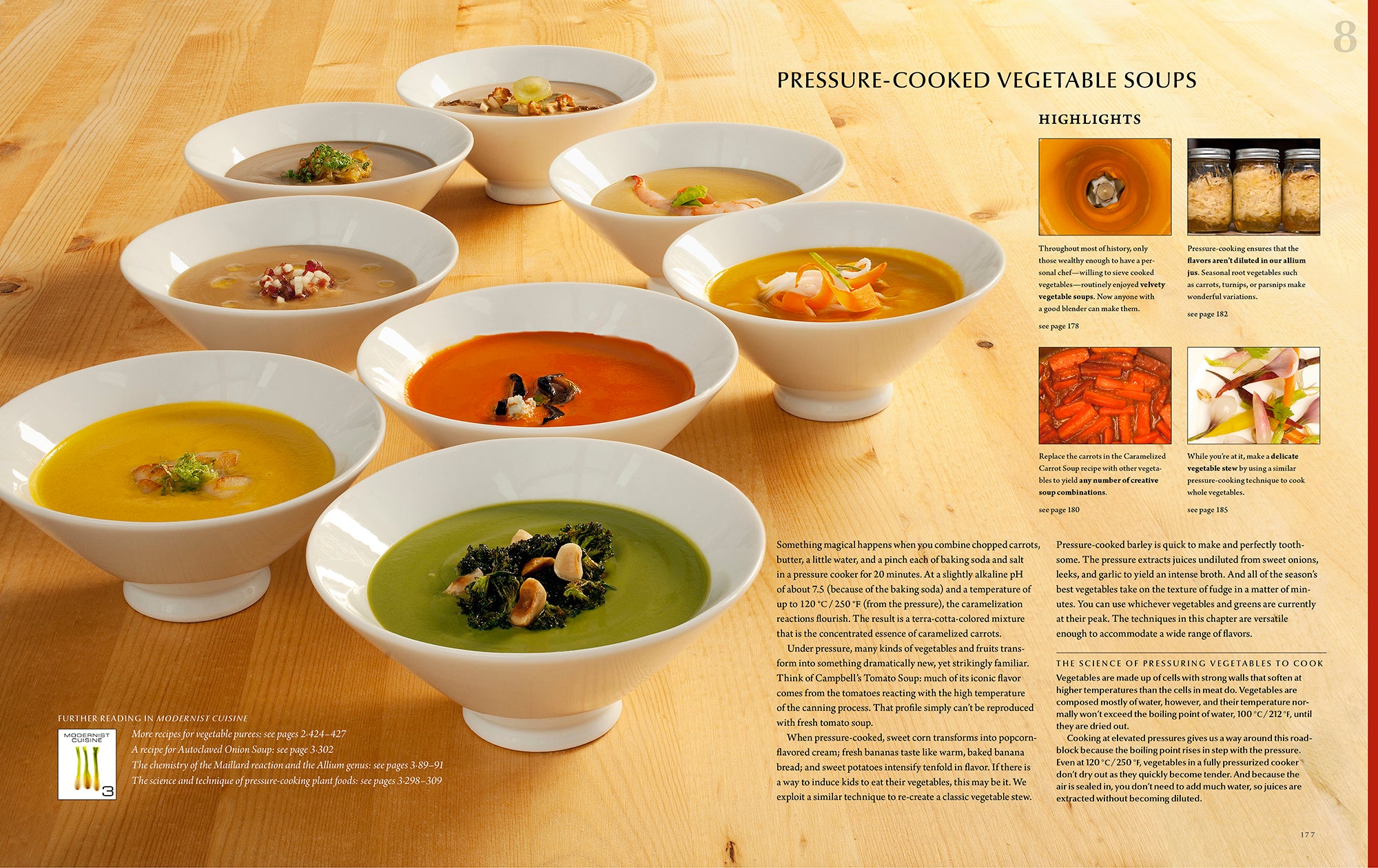 MODERNIST CUISINE AT HOME – Modernist Cuisine Gallery