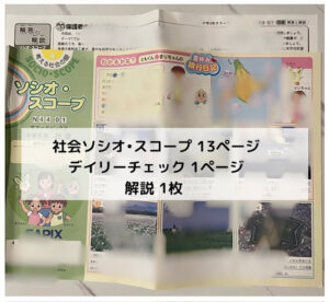 サピックス(SAPIX)夏期講習プリント量・内容 4年｜中学受験 - kirin の