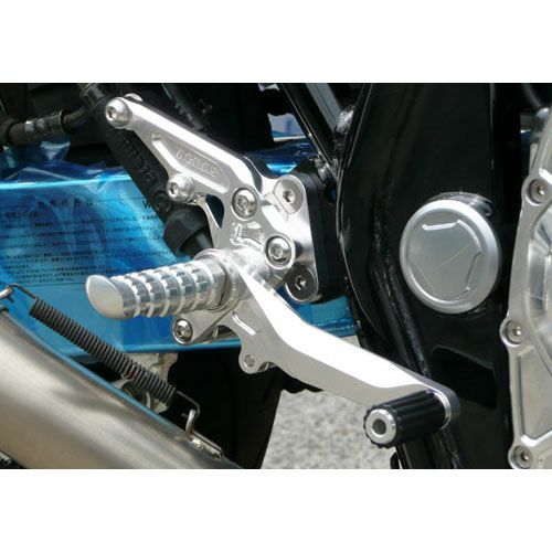 アグラス(AGRAS) バックステップ 4ポジション XJR1300/1200 312-251