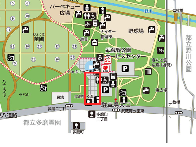 武蔵野公園】スケートボード広場 整備工事に伴う園路通行止め