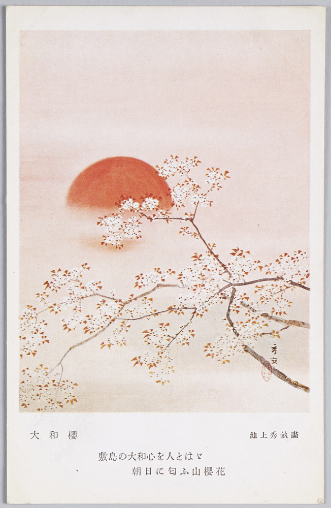 大和桜 池上秀畝画 | ToMuCo - Tokyo Museum Collection