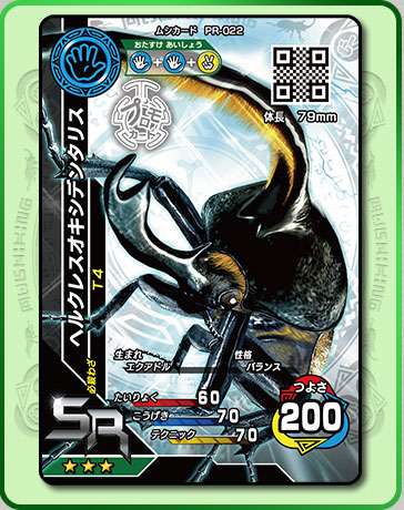 第7回：ヘルクレスオキシデンタリス解禁＆ゴマダラカミキリ登場