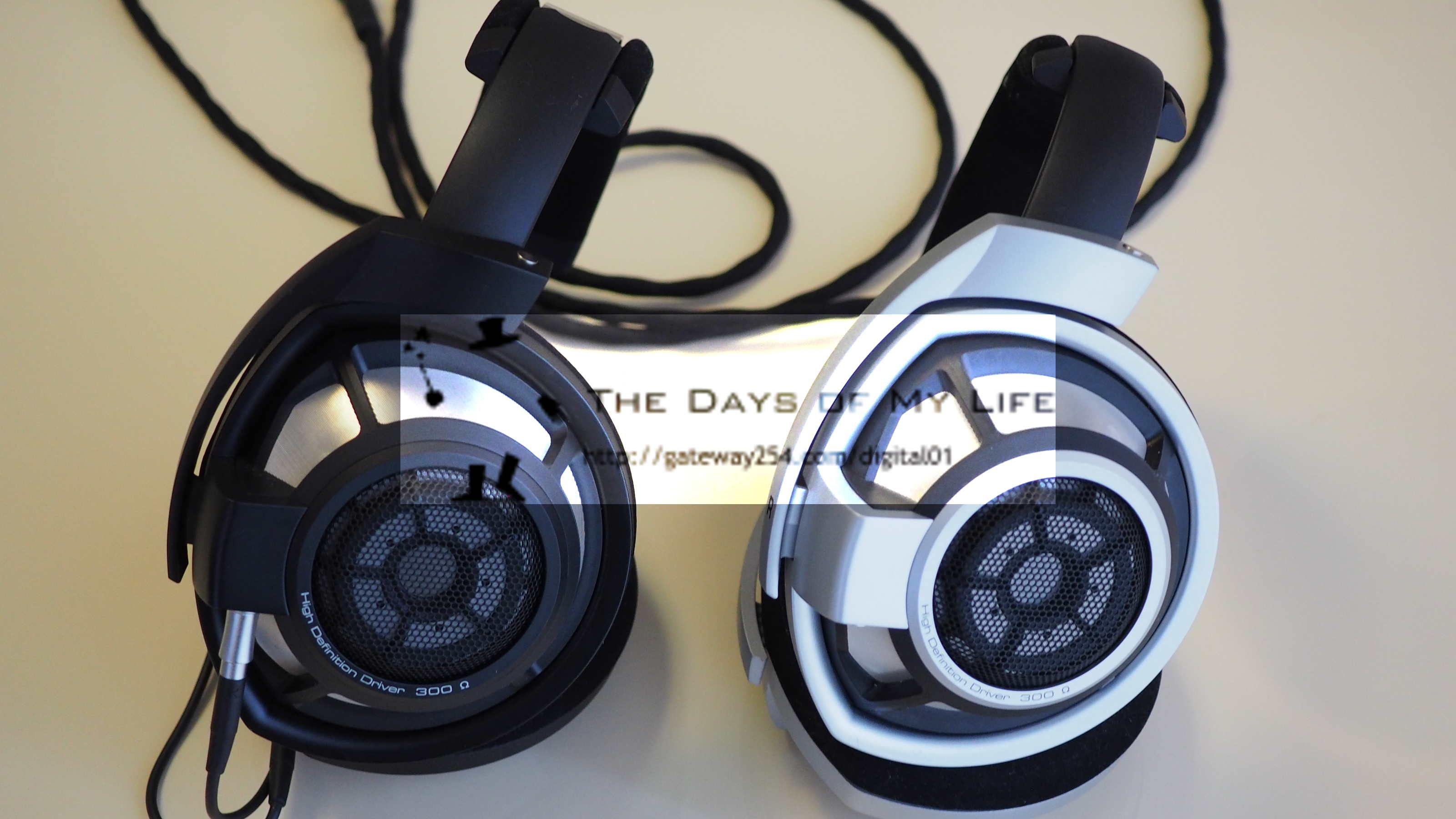 開放型ヘッドホン SENNHEISER HD 800 SとHD 800の聞き比べ | 好きな