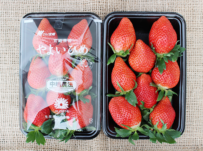 宮崎県 上之薗一夫 様 ｜ 中嶋農法の生科研