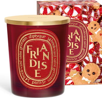 Diptyque Friandise (Sweet Treat) Scented Candle | Nordstrom