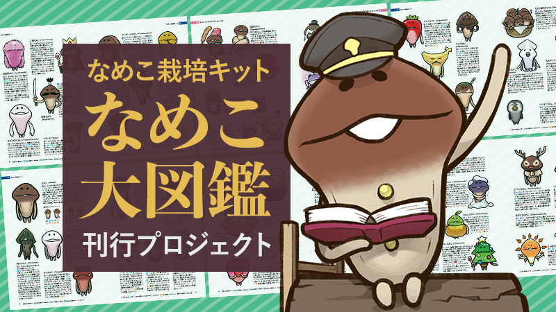 クラウドファンディング 「なめこ栽培キット なめこ大図鑑刊行