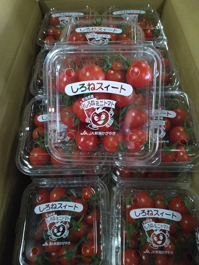 白根ミニトマト｜長岡中央青果株式会社