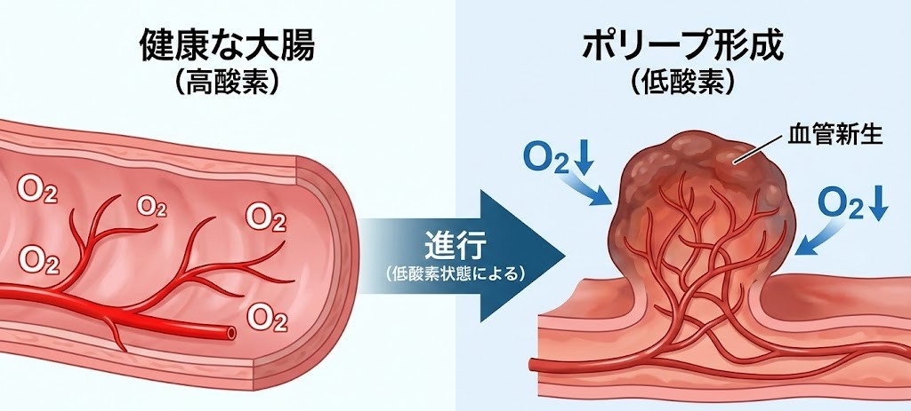 睡眠時無呼吸症候群と腸内環境｜いびきとお腹の不調｜金沢消化器内科