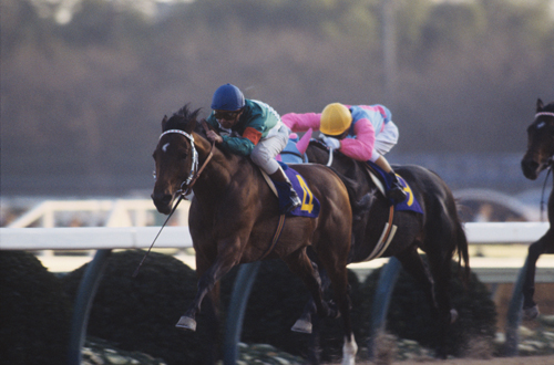 第4回「競馬の世界地図が 塗り替わった」 | ロンシャンに刻まれる歴史