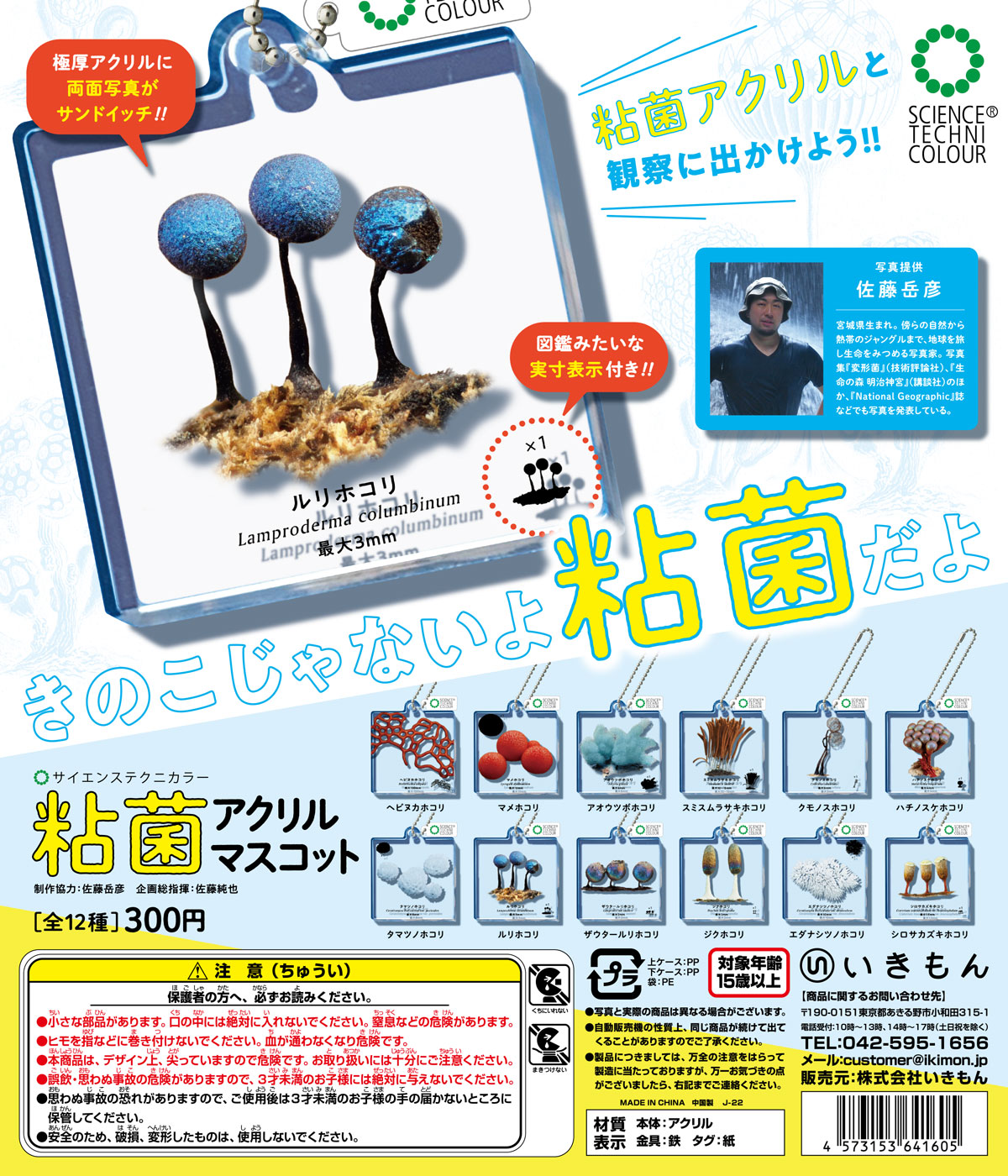 粘菌 アクリルマスコット – ネイチャーテクニカラー公式