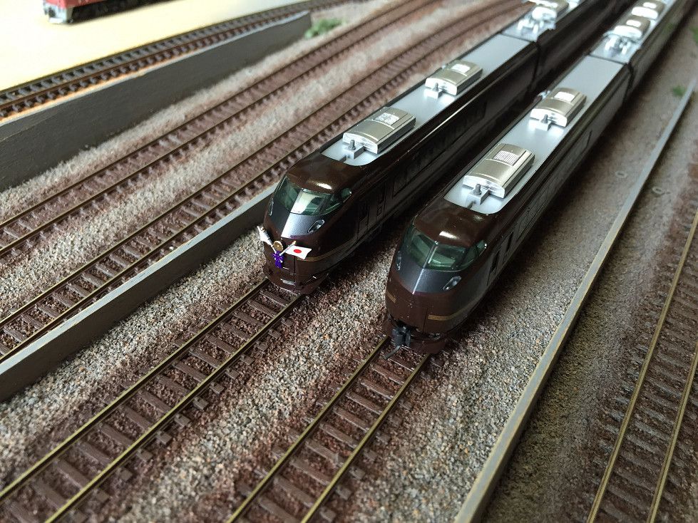 E655系 なごみ（和） 5両セット 発売日です。KATO 10-1123 | NGaugeJP