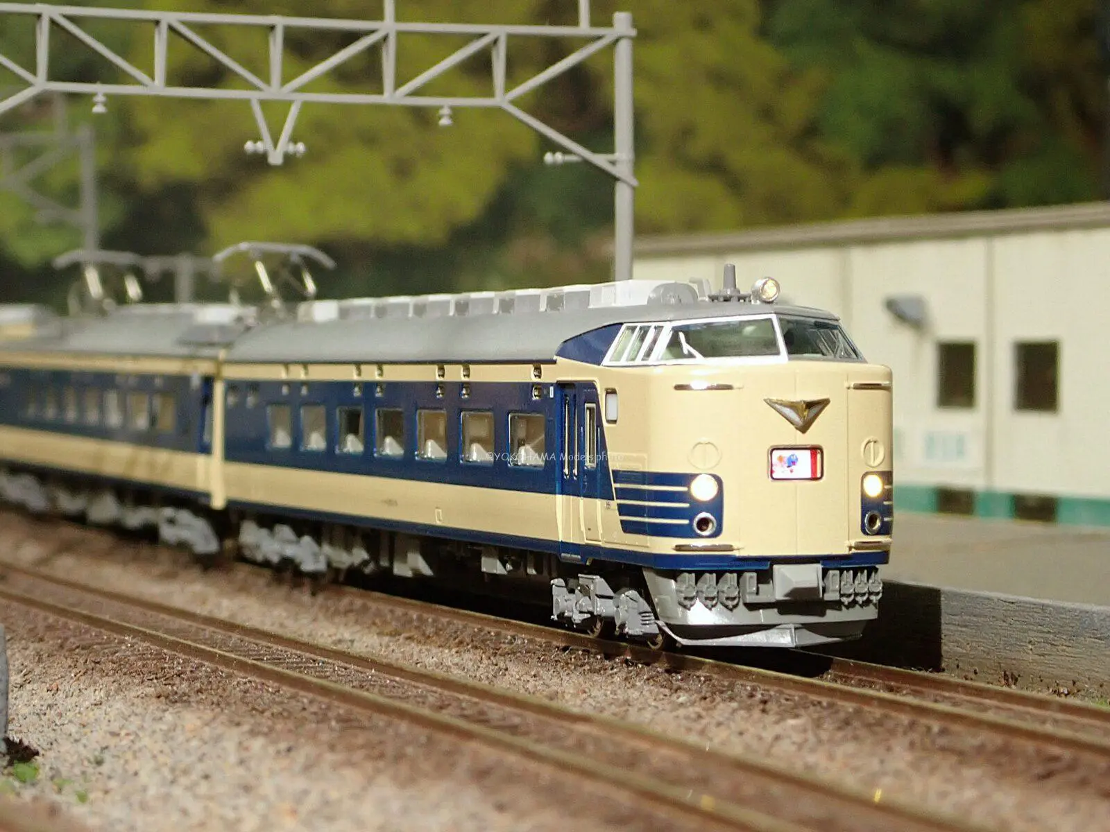 TOMIX 313-5000系近郊電車増結セットB（2両） 品番:98484 #トミックス