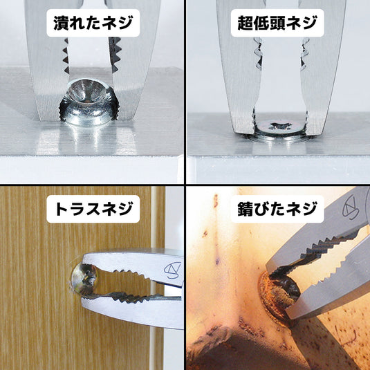 PZ-58MM Myakumiakzaurus – エンジニア公式オンラインストア