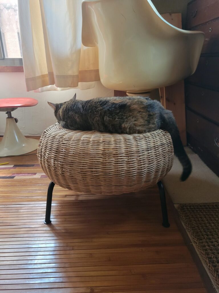 IKEA長久手行ってきた②】GAMLEHULT(ガムレフルト・オットマン)の