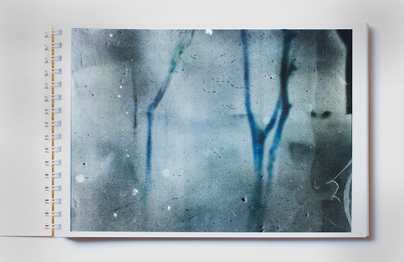 TORANSUPEARENTO” Daisuke Yokota 横田大輔 - Newfave