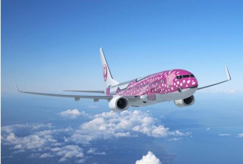 JTA、737-800の新ジンベエジェット就航--11月に1機目、現行機は年度中